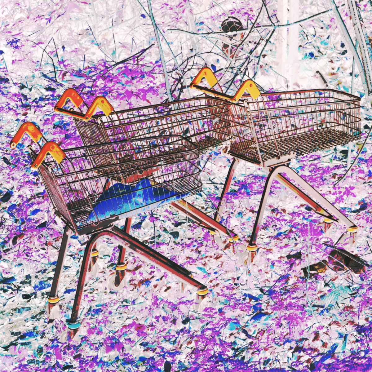 Shopping Trolleys