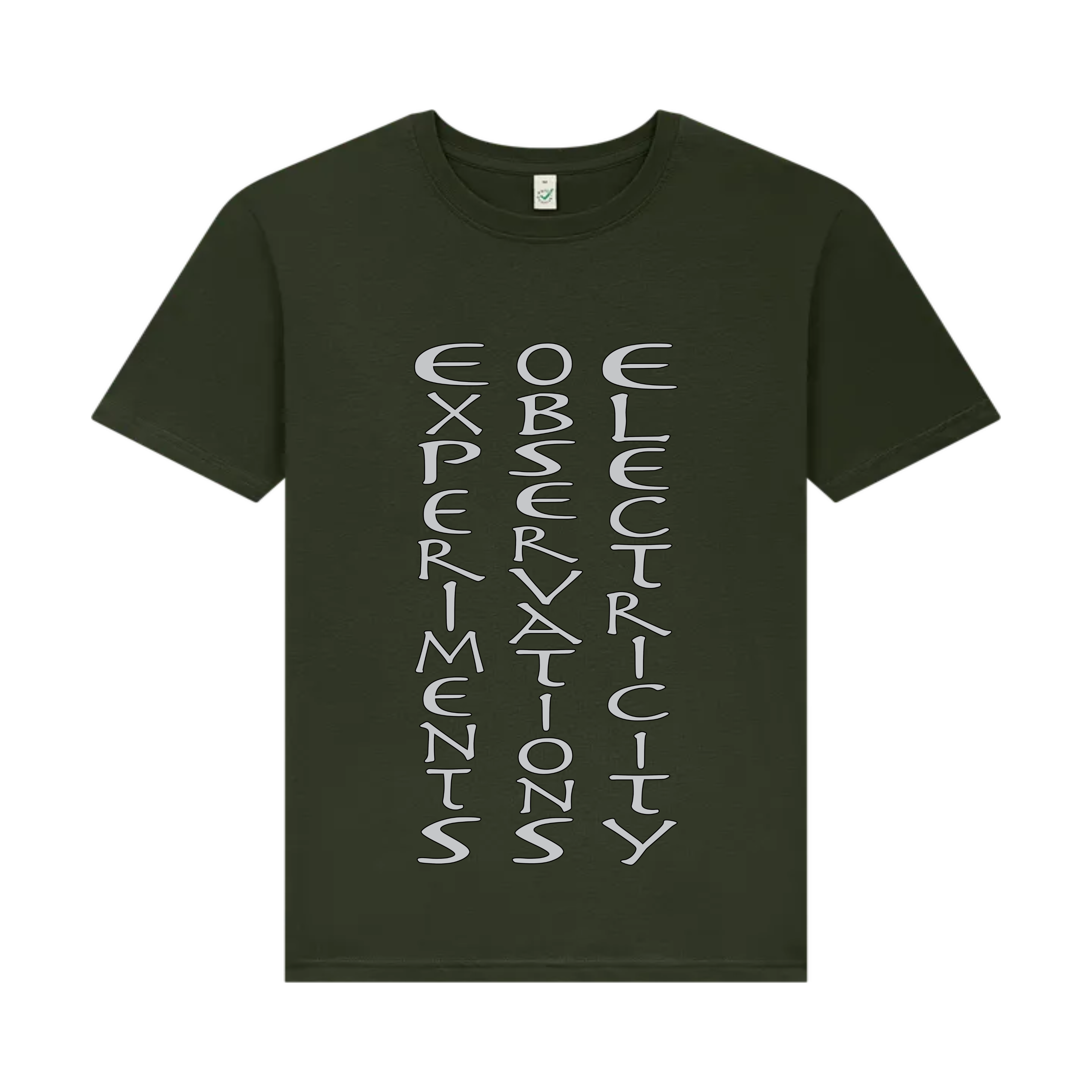 Experiments & Observations on Electricity (Ascensión Font)